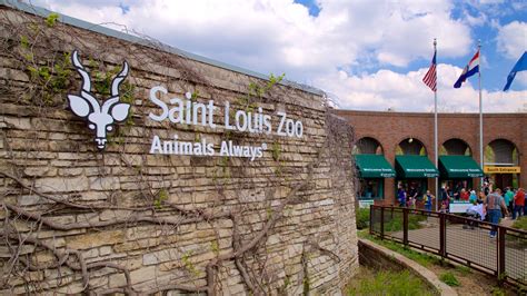 St. Louis Zoo .